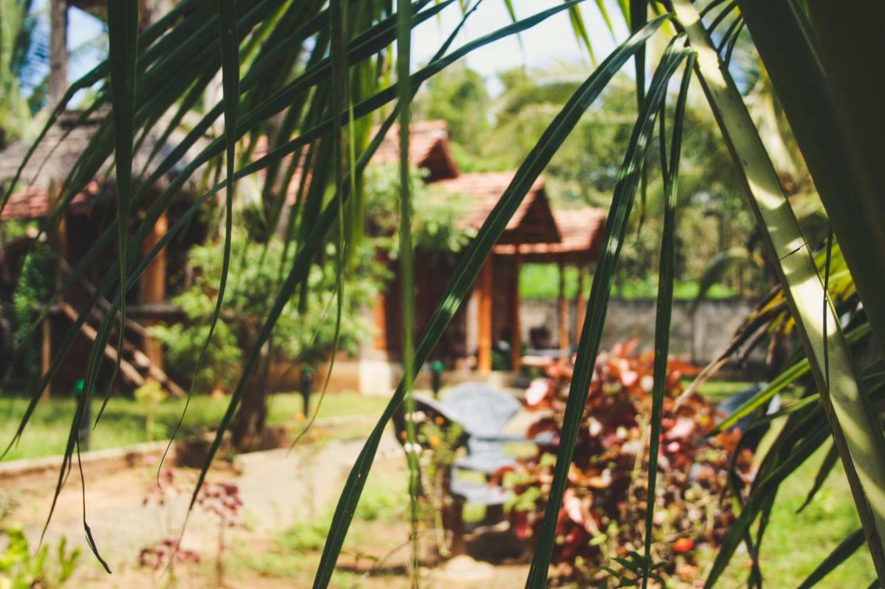 Clay House Hotel Udawalawe Buitenkant foto